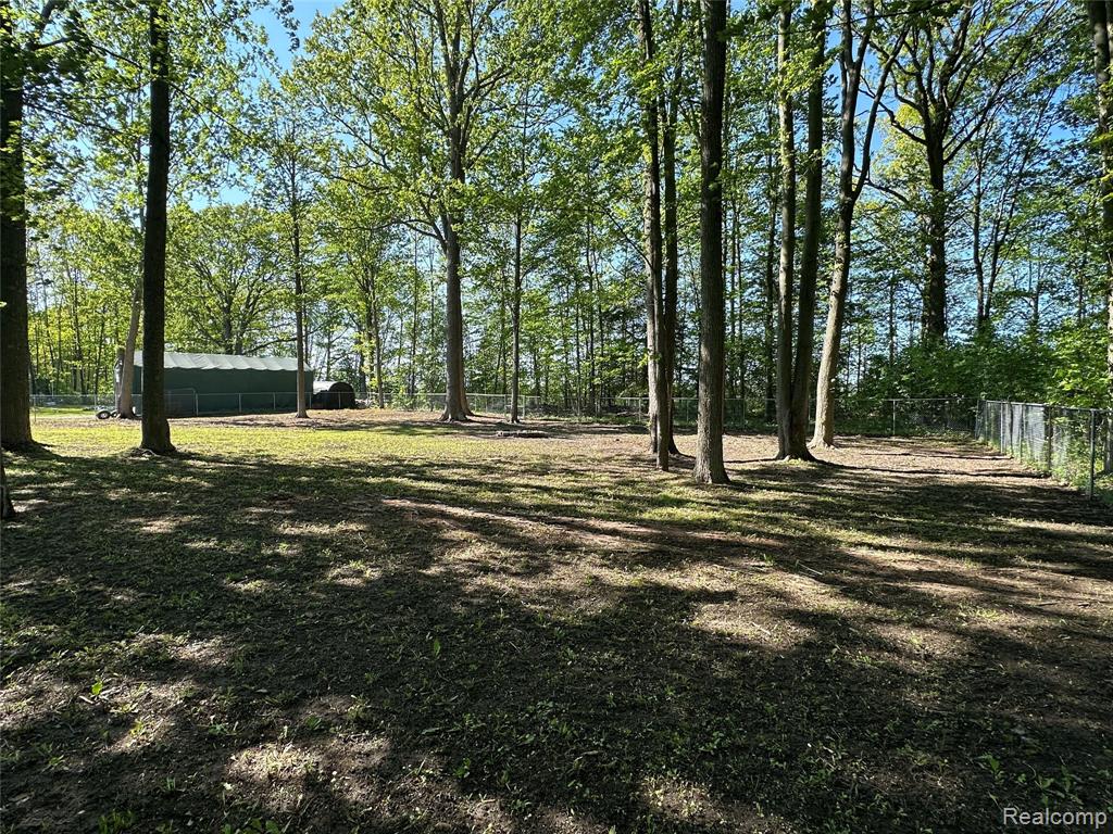 4233 State Road Fort Gratiot, MI 48059 - Photo 63 of 64