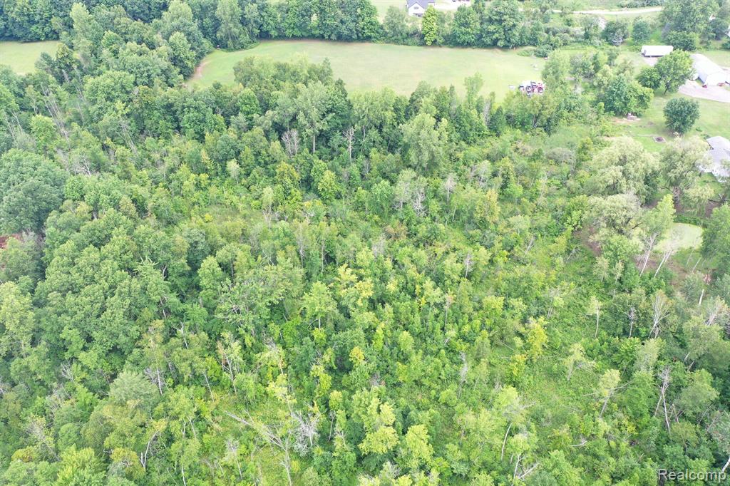 0 Welch Road Attica, MI 48412 - Photo 11 of 12