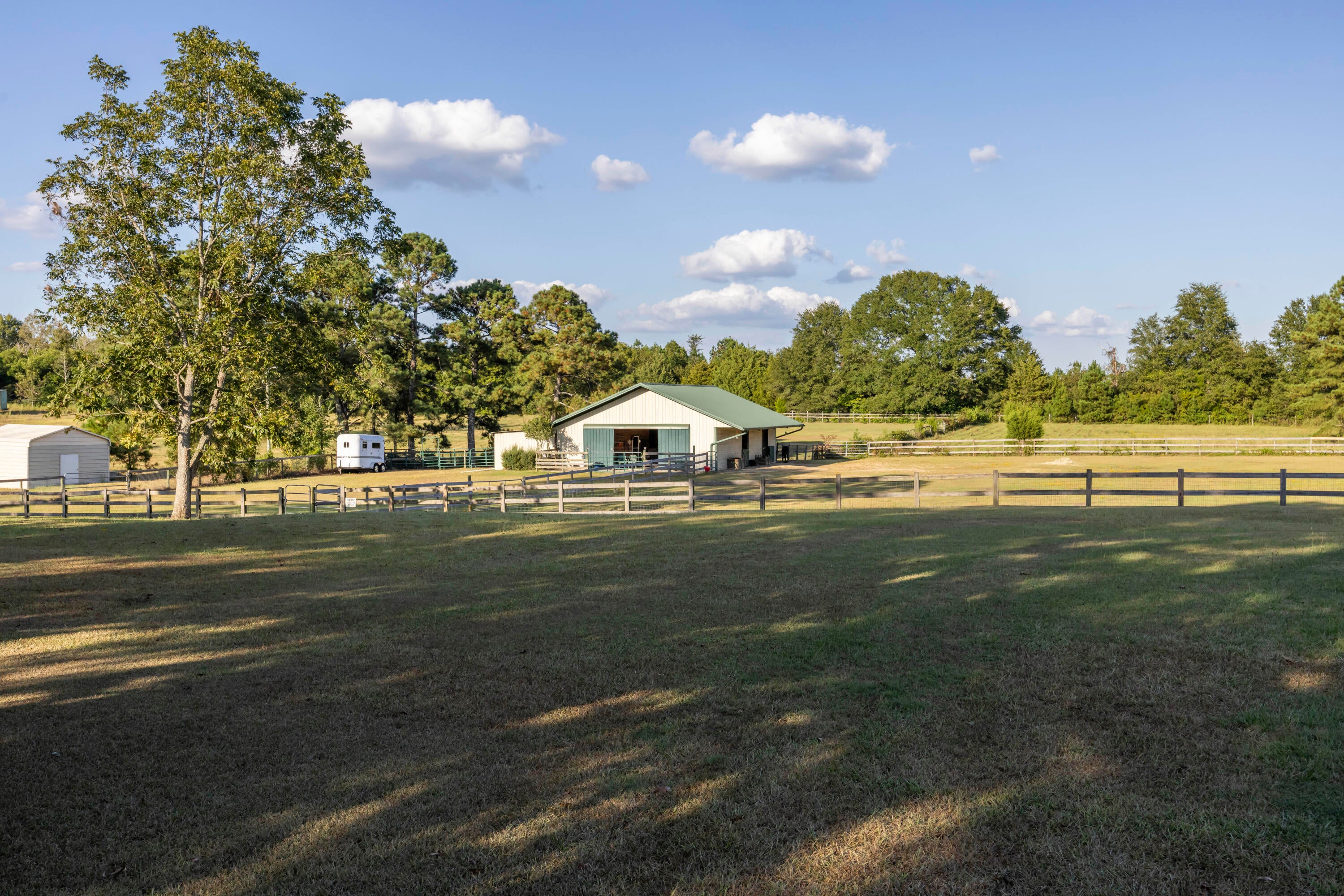 269 Holmes Pond Road Johnston, SC 29832 - Photo 4 of 51 Gallery Image 4