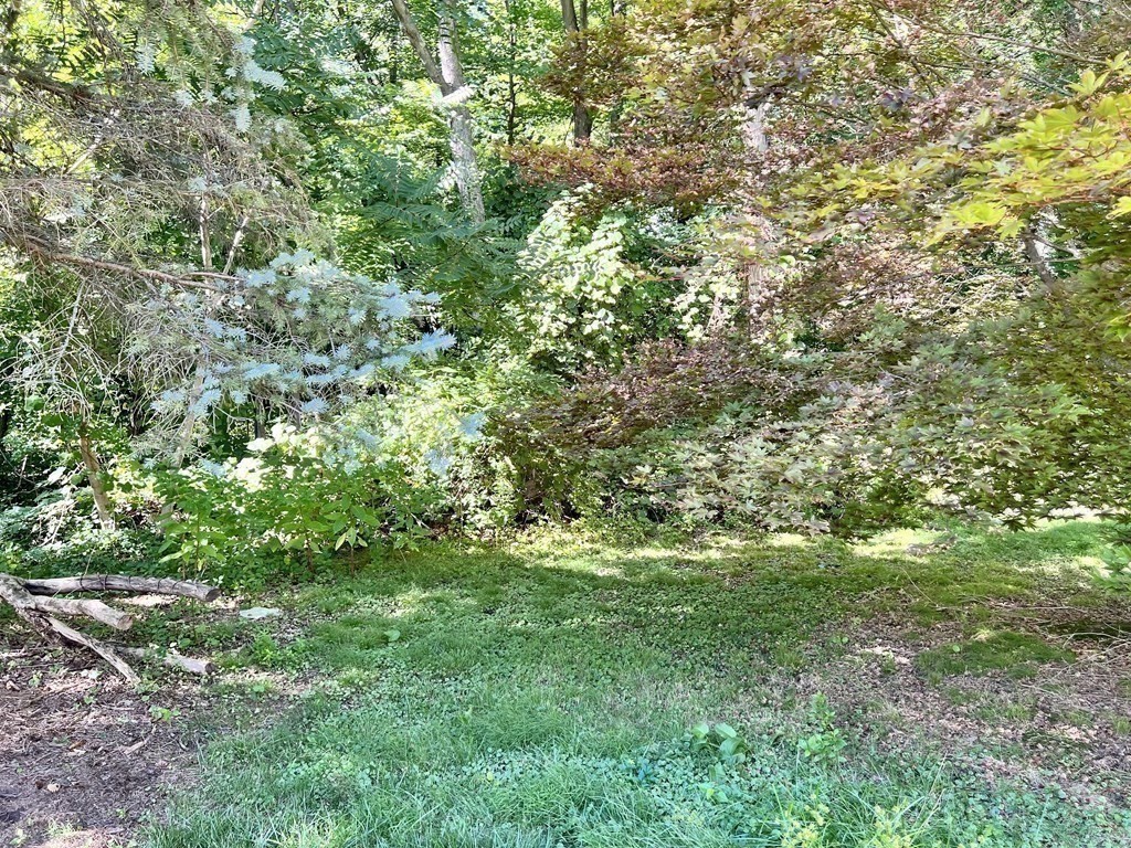 2 Rolfe Avenue Worcester, MA 01604 - Photo 38 of 38 Gallery Image 38