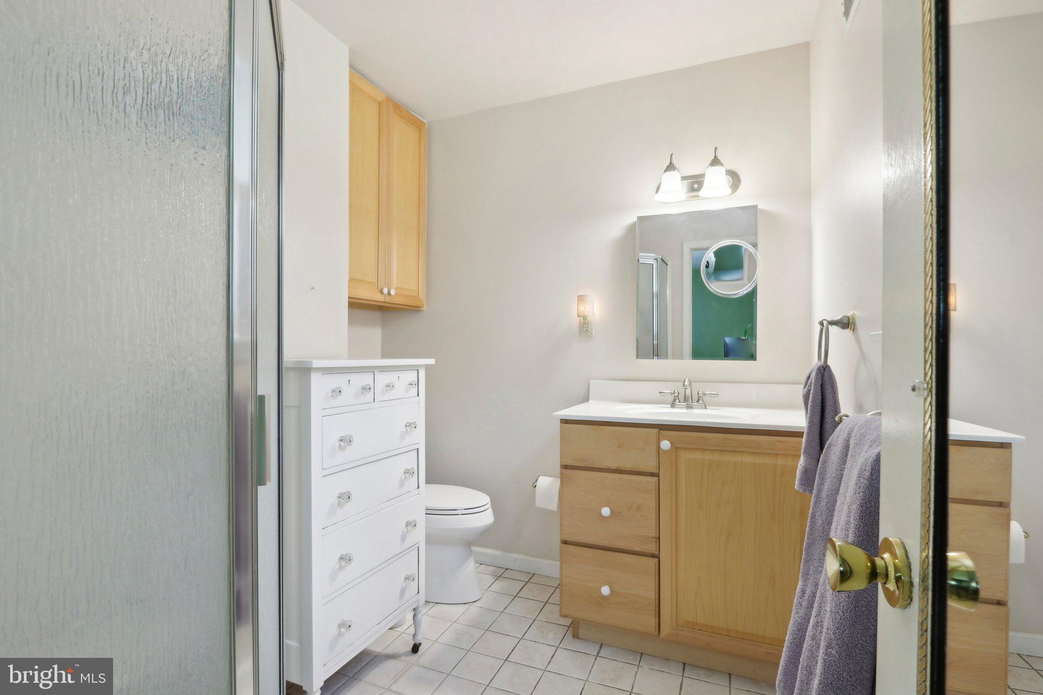 701 Meadowlark Road Norristown, PA 19403 - Photo 23 of 35 Primary Ensuite Bathroom