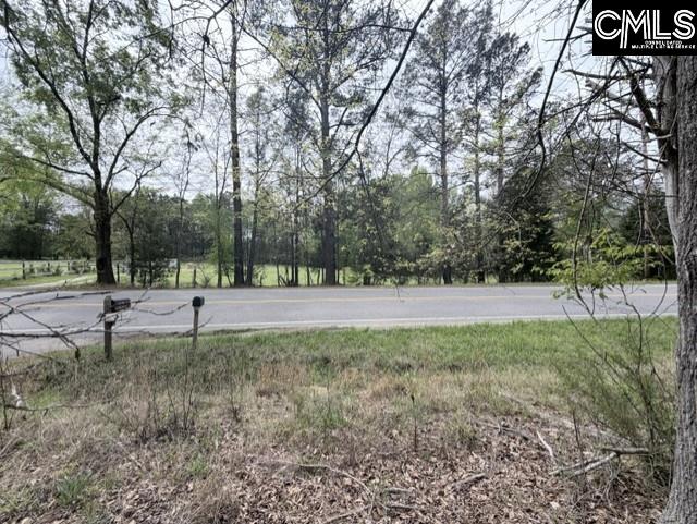 0 Kennerly Road Irmo, SC 29063 - Photo 5 of 6