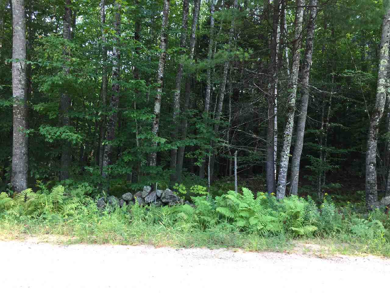 Lot 65 Gale Road Gilmanton, NH 03237 - Photo 2 of 6