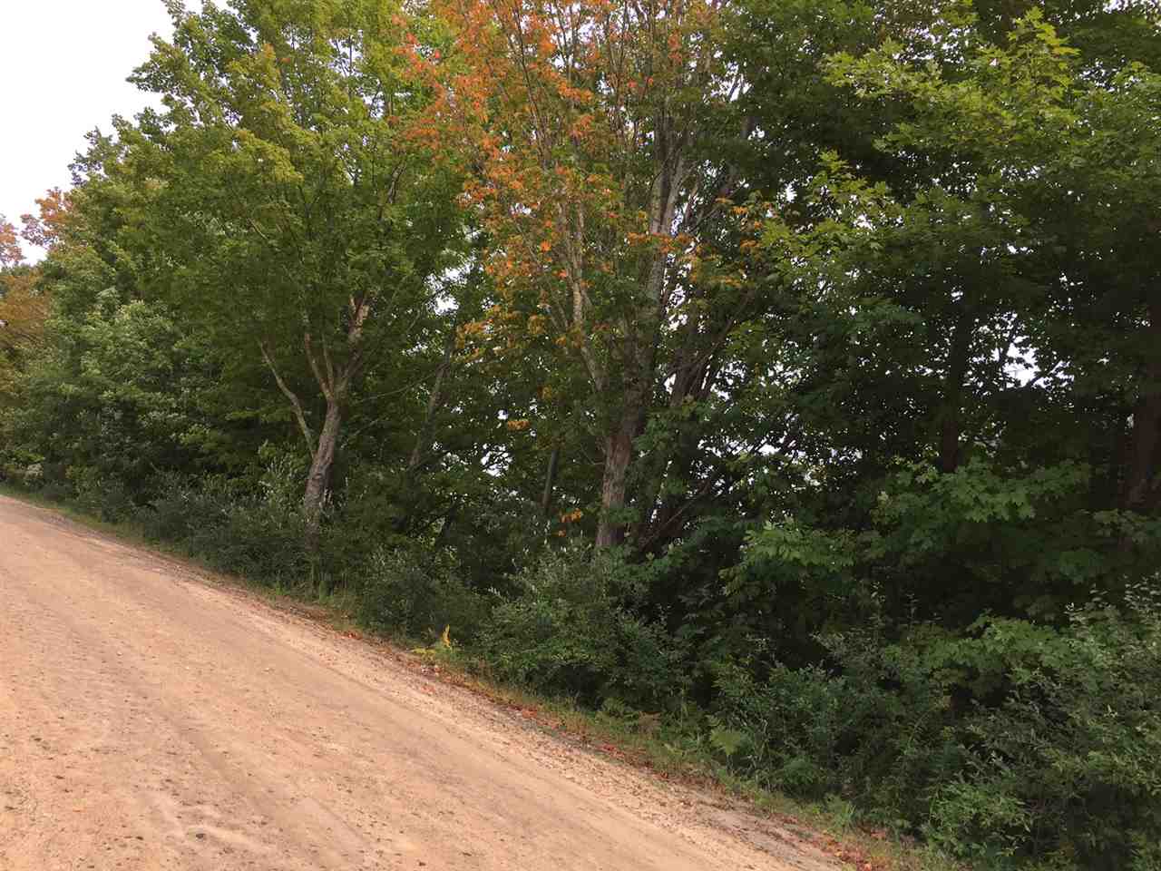 Lot 65 Gale Road Gilmanton, NH 03237 - Photo 5 of 6