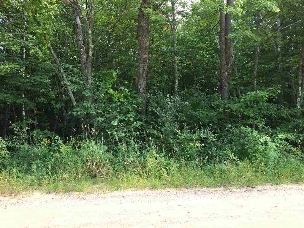 Lot 65 Gale Road Gilmanton, NH 03237 - Photo 6 of 6