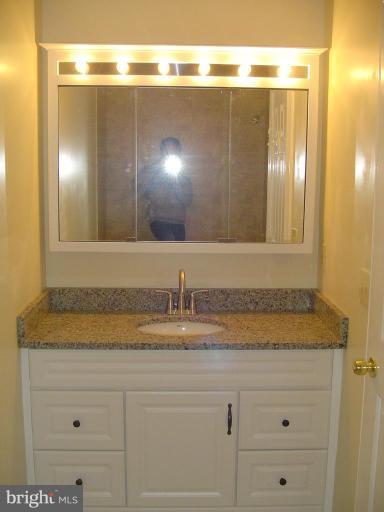 8202 Maple Ridge Avenue Springfield, VA 22153 - Photo 11 of 22 Master Bath