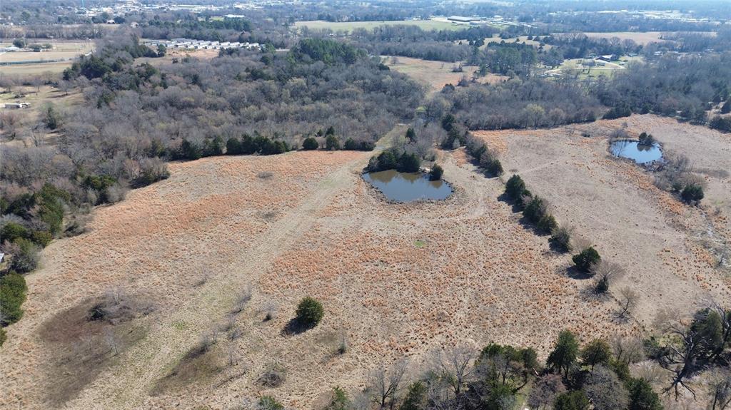 Lot 3 Rains Cr1140 Road Emory, TX 75440 - Photo 11 of 12 a view of a dry yard with trees