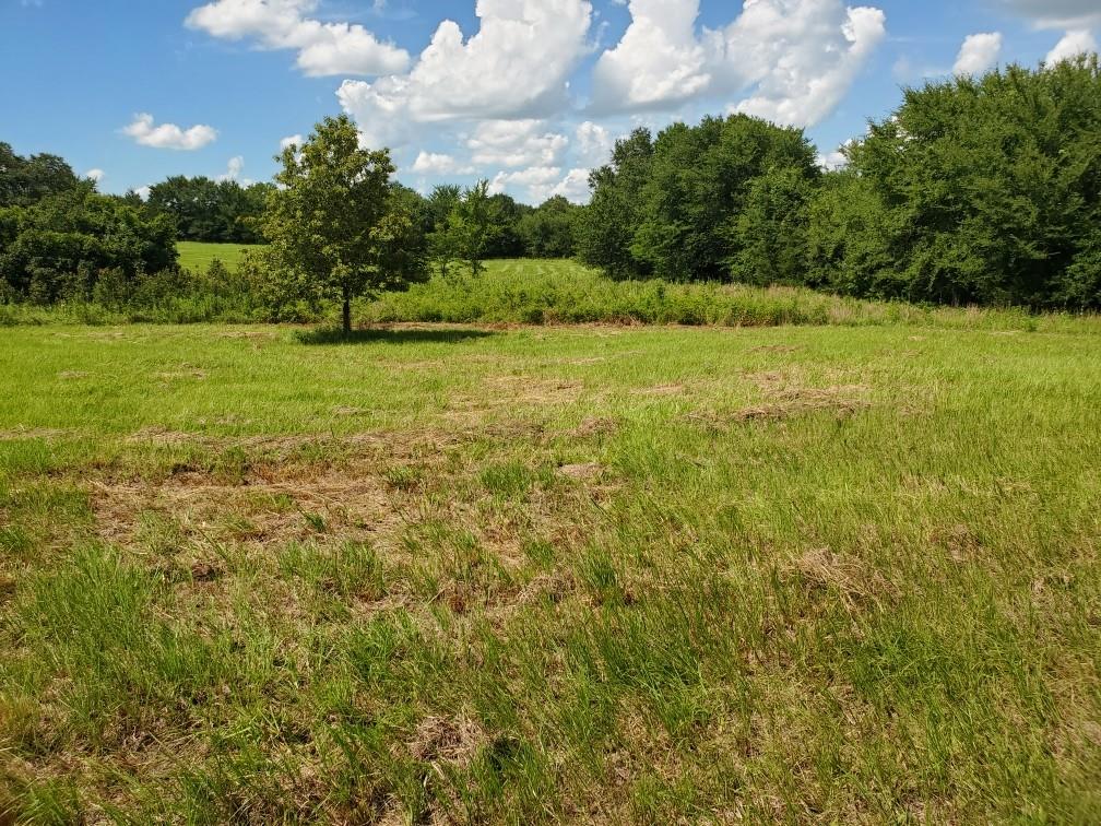 Lot 3 Rains Cr1140 Road Emory, TX 75440 - Photo 3 of 12 a view of outdoor space and yard