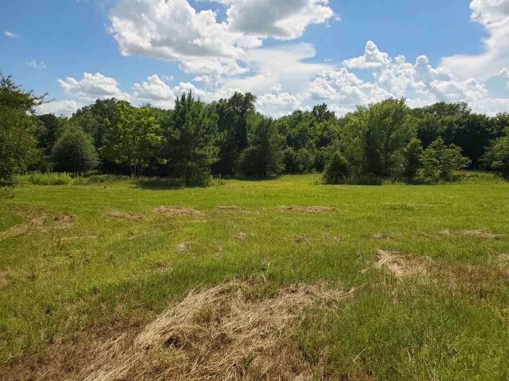 Lot 3 Rains Cr1140 Road Emory, TX 75440 - Photo 8 of 12 a view of an ocean view and residential houses