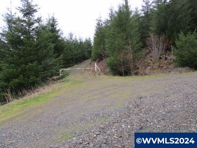 0 Rocky Top Road Sweet Home, OR 97386 - Photo 3 of 14