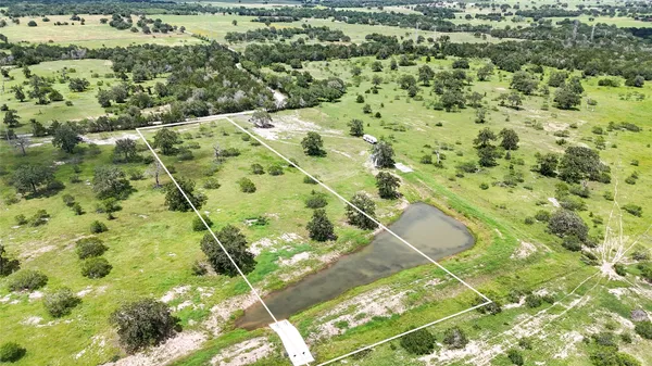 a view of a yard
