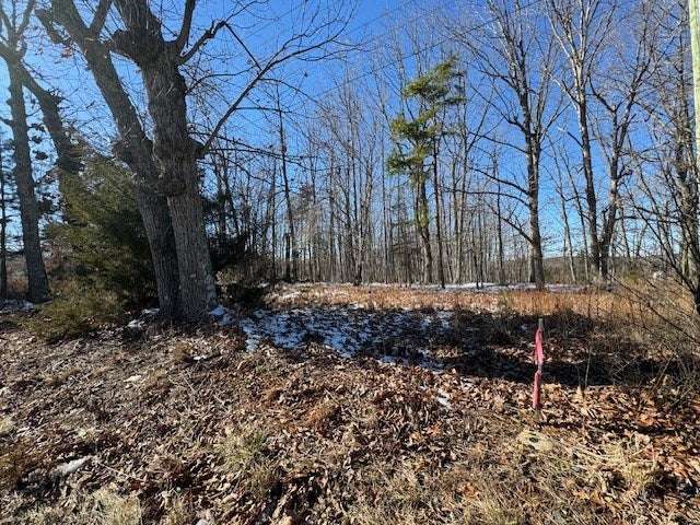 Old Courthouse Road, Unit 22 Appomattox, VA 24522 - Photo 10 of 10 Gallery Image 10