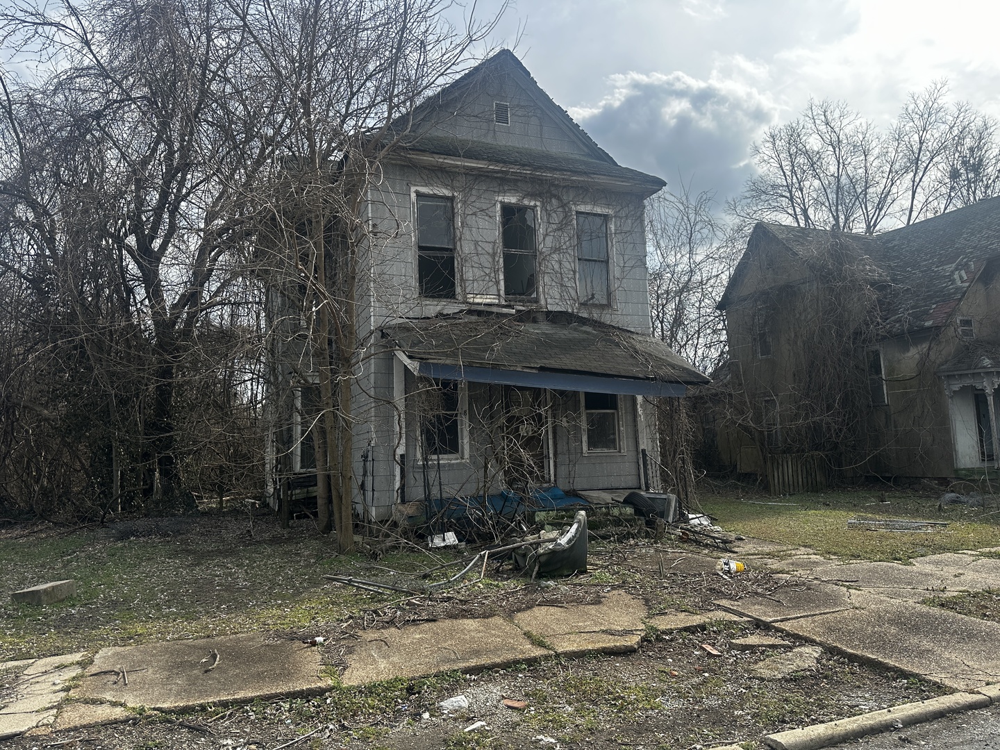 811 22nd Street Cairo, IL 62914 - Photo 2 of 5