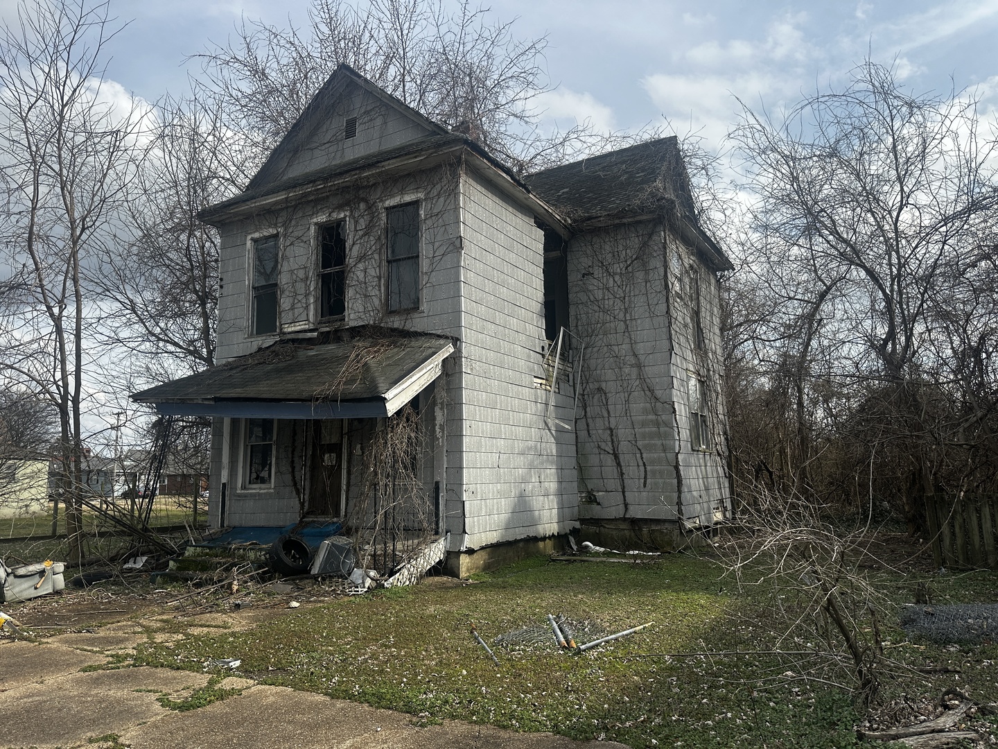 811 22nd Street Cairo, IL 62914 - Photo 3 of 5