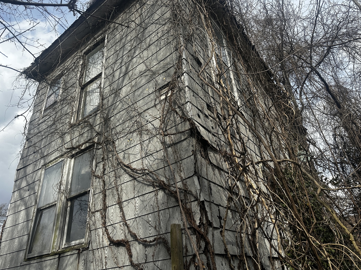 811 22nd Street Cairo, IL 62914 - Photo 4 of 5