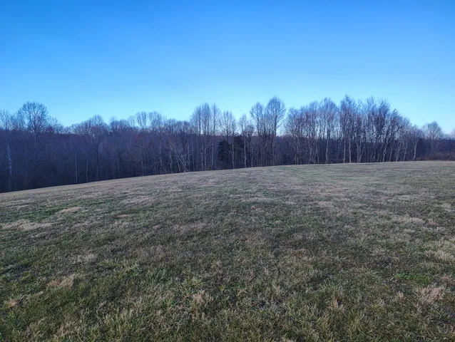 a view of an outdoor space and a yard