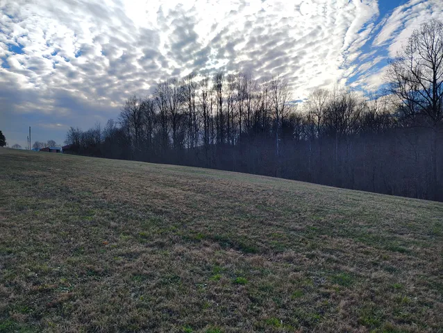 a view of a wooden floor with a dry yard