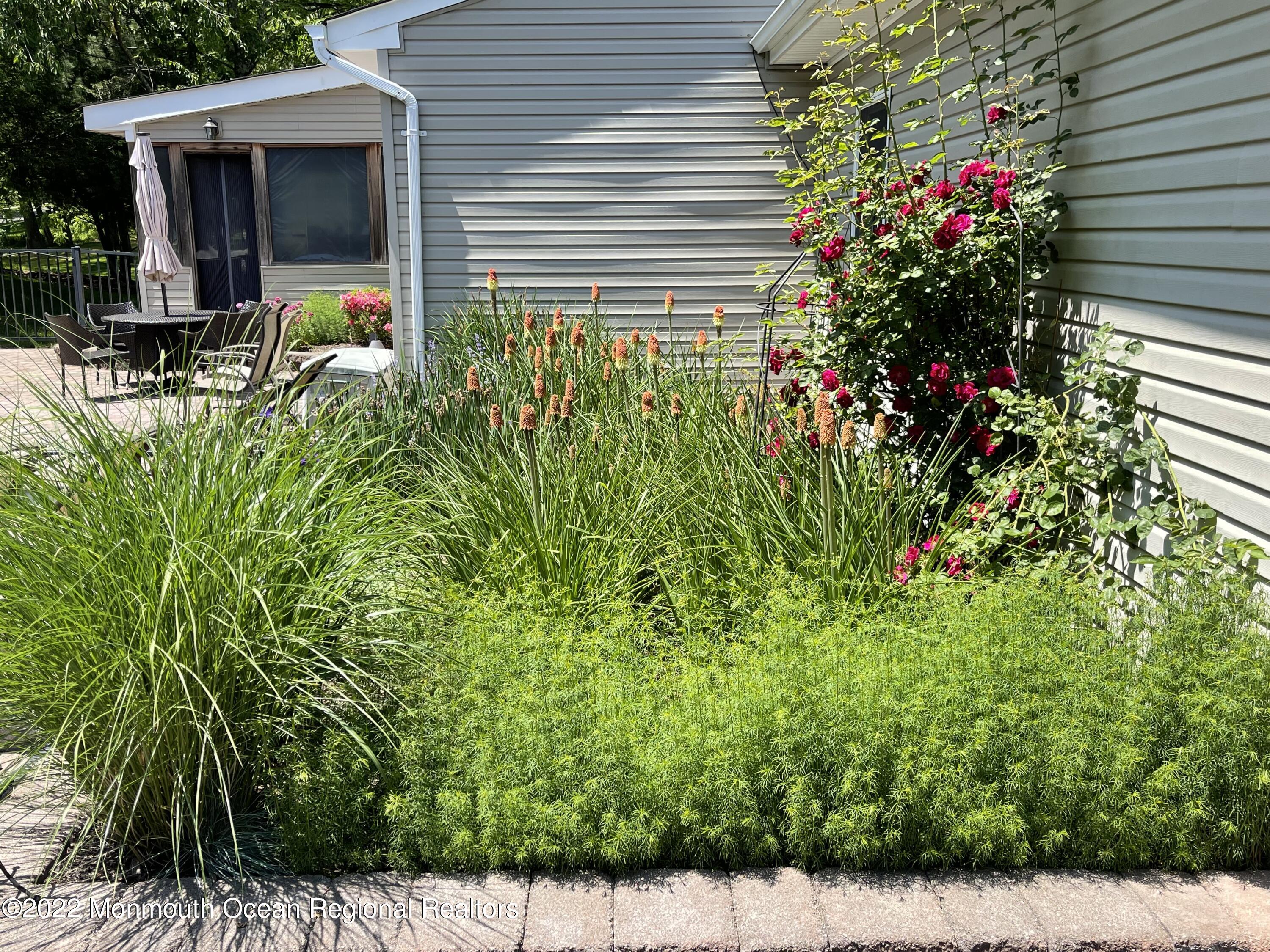 279 Ueland Road Red Bank, NJ 07701 - Photo 32 of 33 ueland pool garden 2