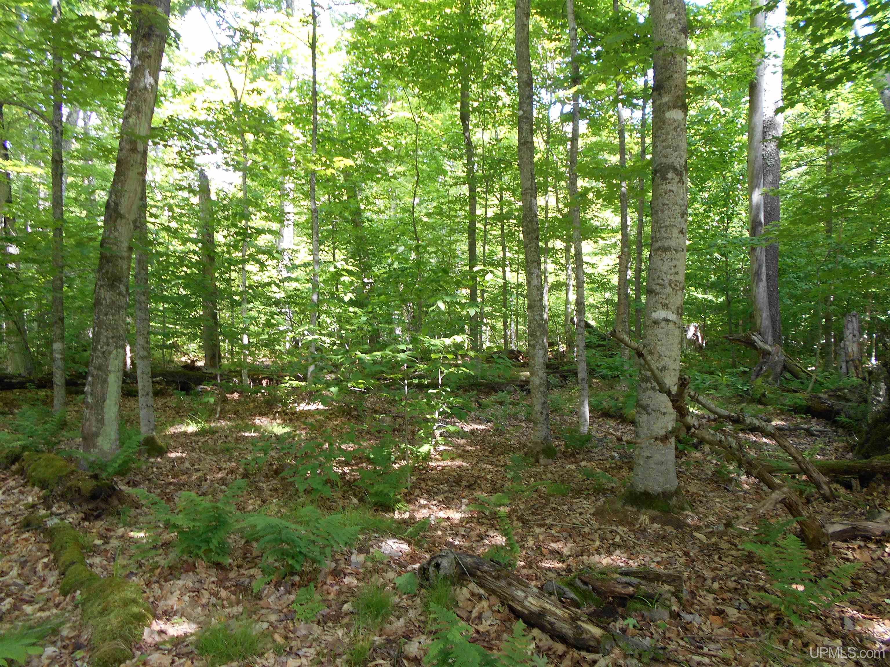 Tbd West Parcel B Little Harbor Road Manistique, MI 49854 - Photo 17 of 43 Gallery Image 17