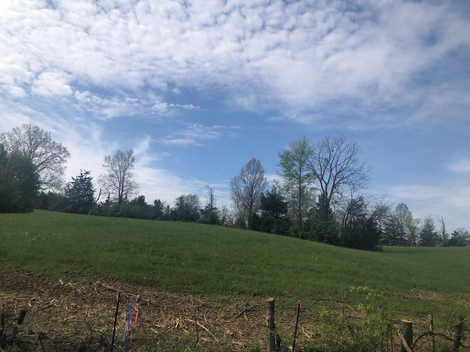 7 B Pumphouse Road Lawrenceburg, KY 40342 - Photo 1 of 18 7.42 Acres