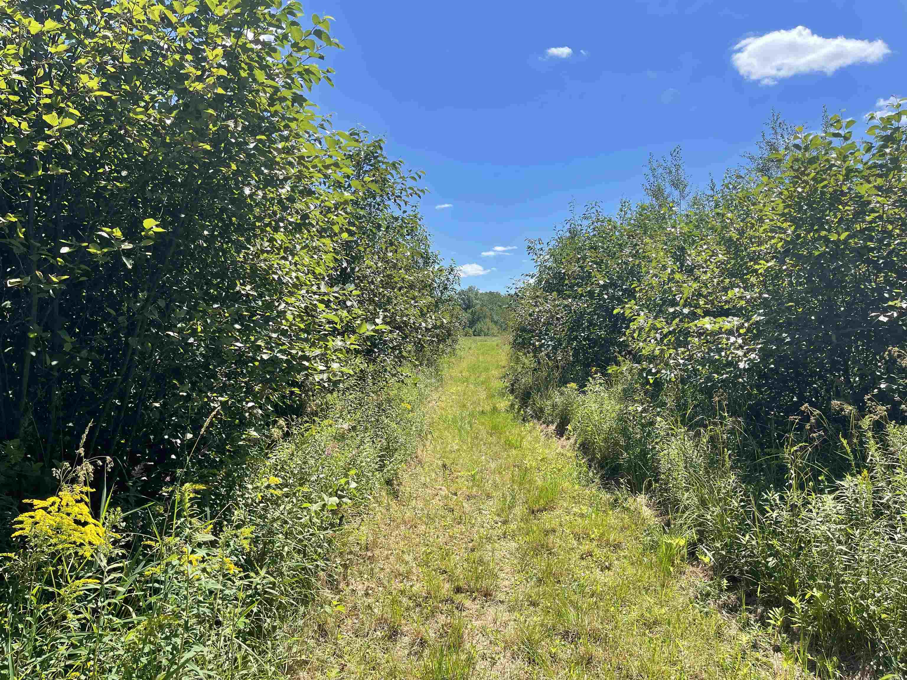 0 State Highway Stevens Point, WI 54481 - Photo 1 of 1