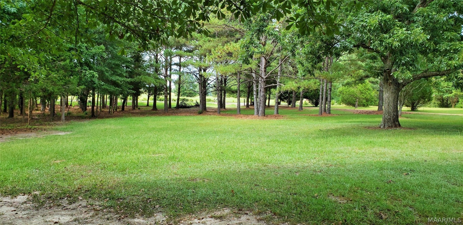 82 Tibbee Lane Ramer, AL 36069 - Photo 15 of 20 Gallery Image 15