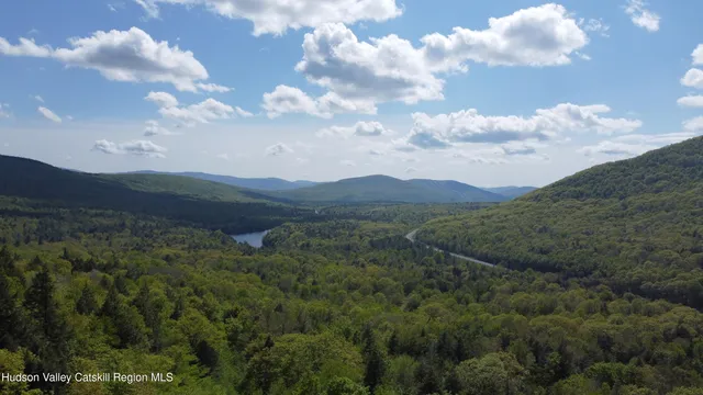 a view of a bunch of trees in a field