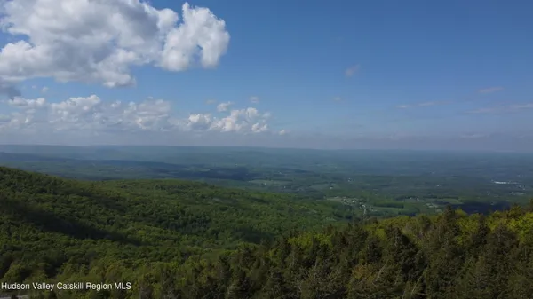 a view of a field of grass and trees