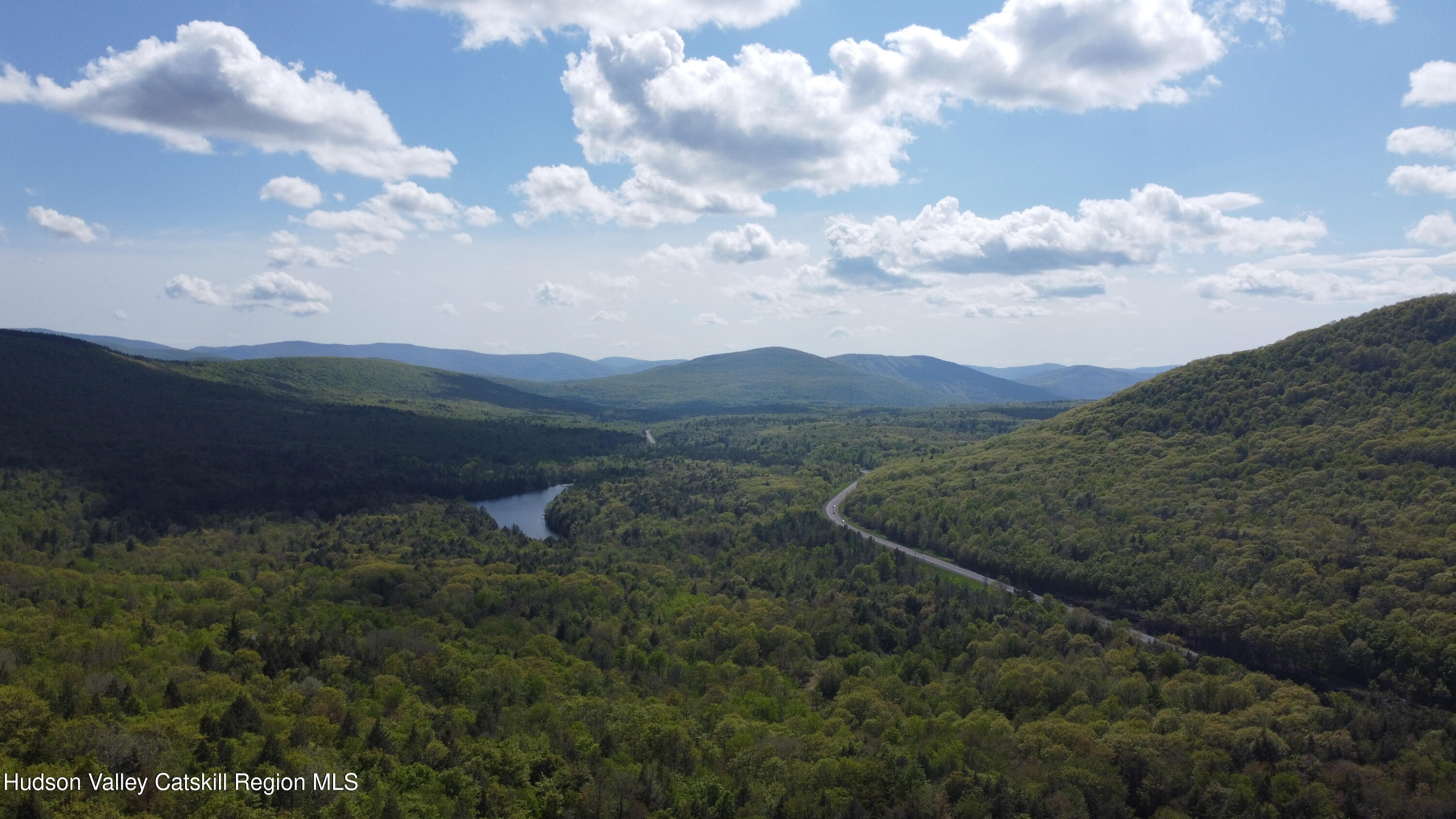 0 High Peak Road Acra, NY 12405 - Photo 6 of 9 a view of a city with lots of trees