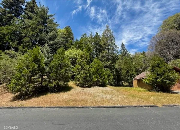 $99,000 | 246 Cedar Ridge Drive, Lake Arrowhead, CA 92352