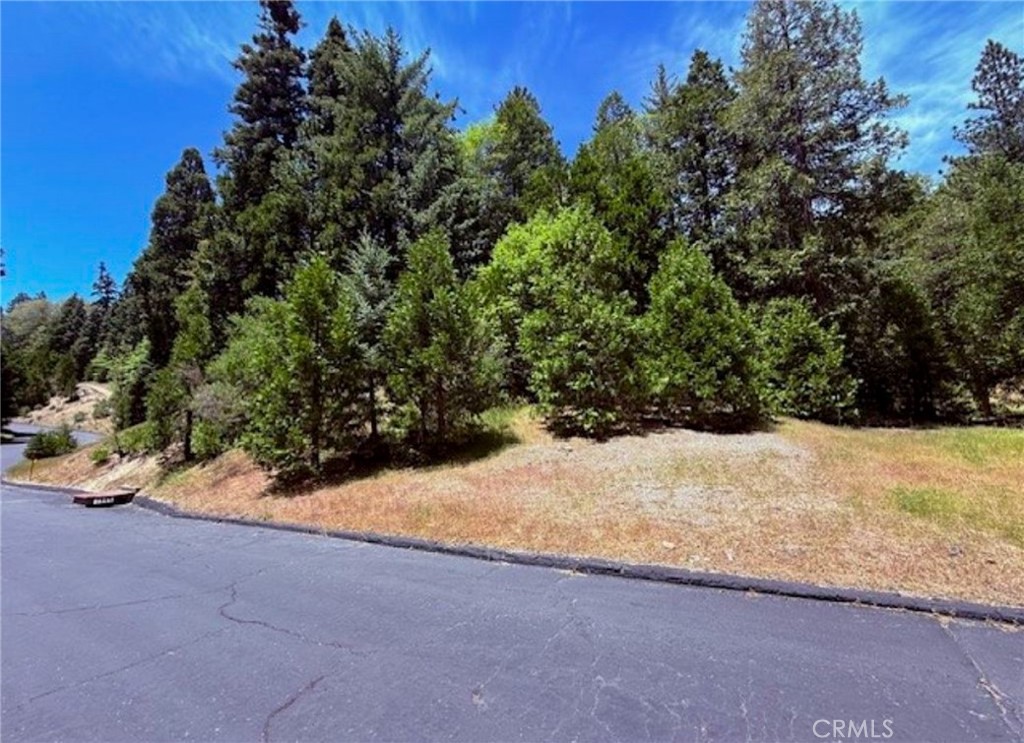 246 Cedar Ridge Drive Lake Arrowhead, CA 92352 - Photo 4 of 10 a view of a yard with a tree