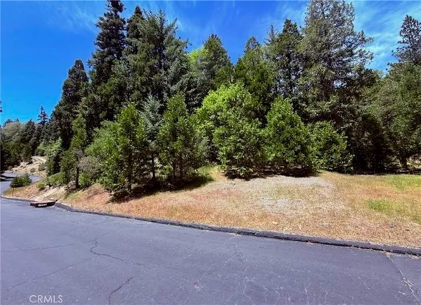 $99,000 | 246 Cedar Ridge Drive, Lake Arrowhead, CA 92352