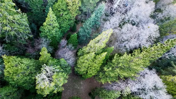 $99,000 | 246 Cedar Ridge Drive, Lake Arrowhead, CA 92352