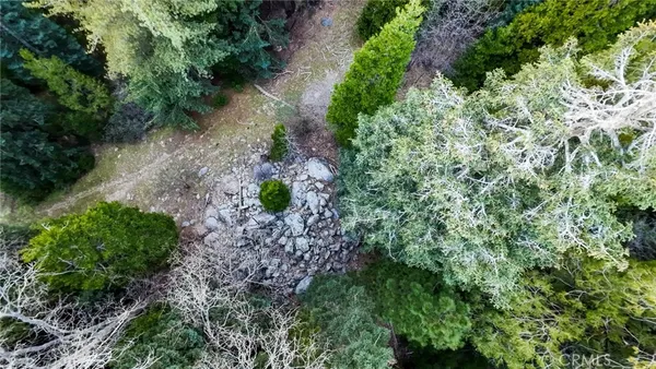 $99,000 | 246 Cedar Ridge Drive, Lake Arrowhead, CA 92352