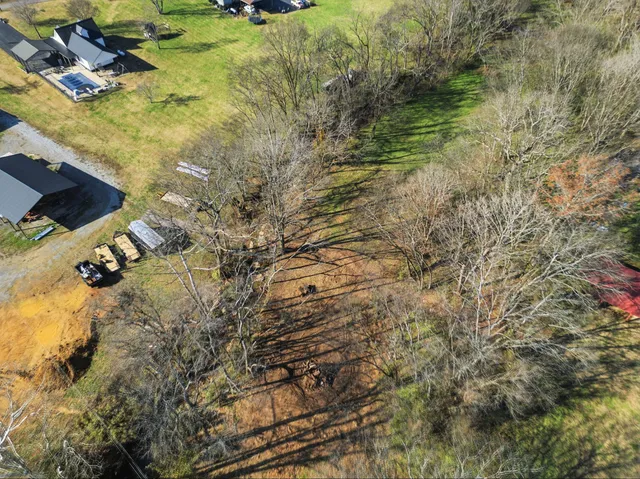 a view of a lake with lawn chairs and large trees