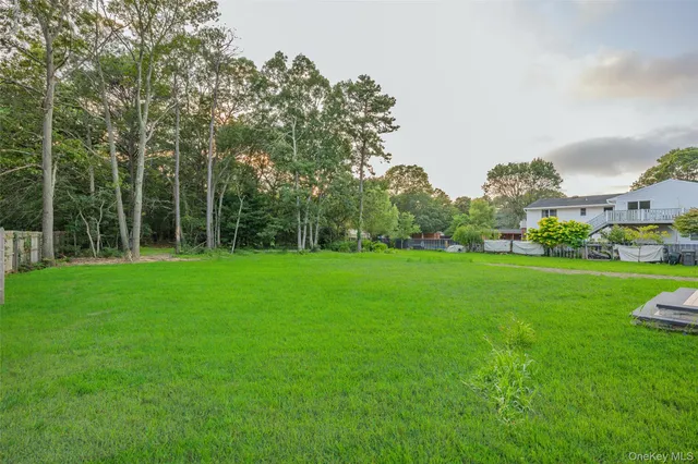 a view of yard with green space