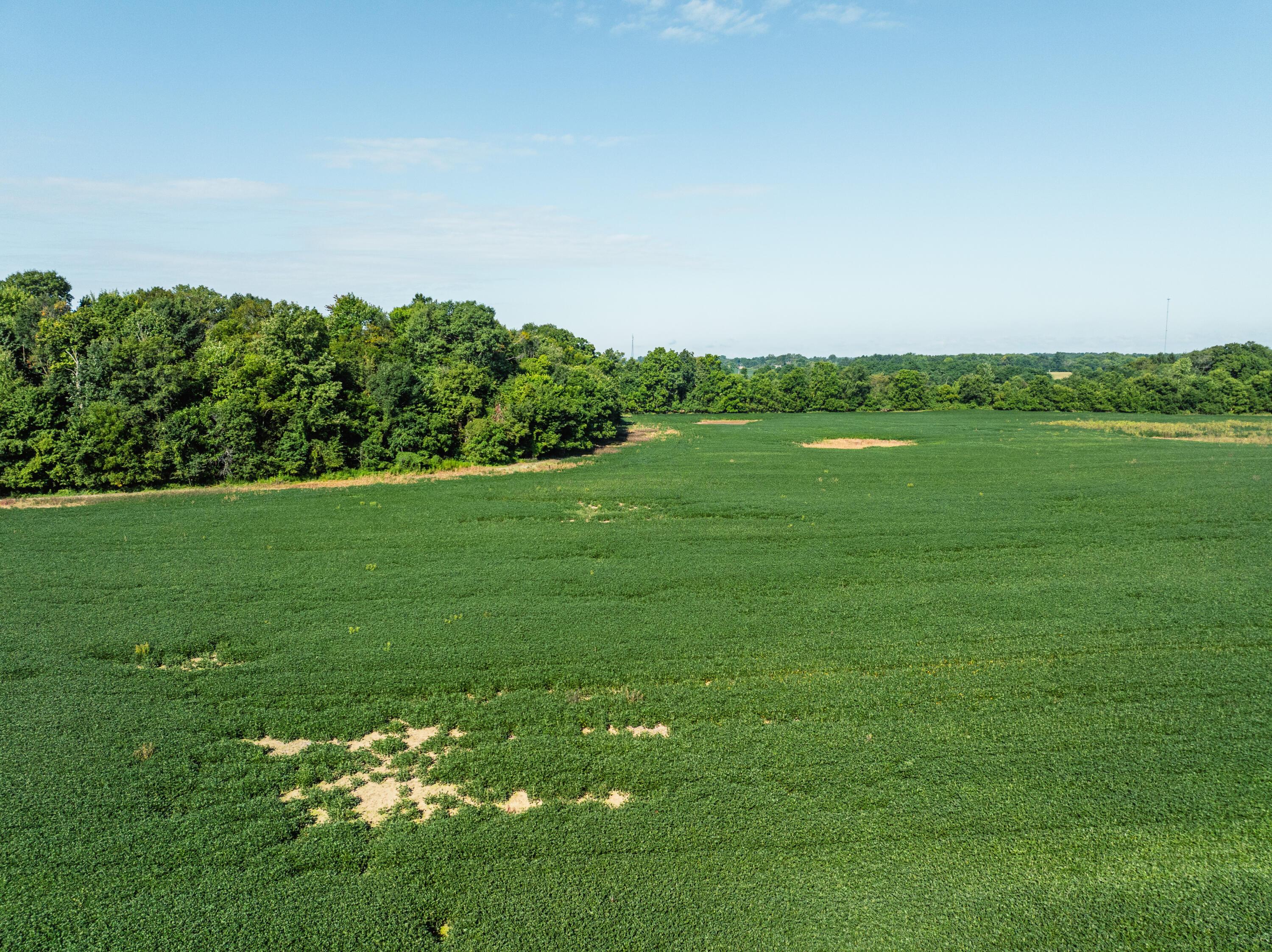 0 Sycamore Road Centerburg, OH 43011 - Photo 5 of 69 DJI_20260827151816_0764_D