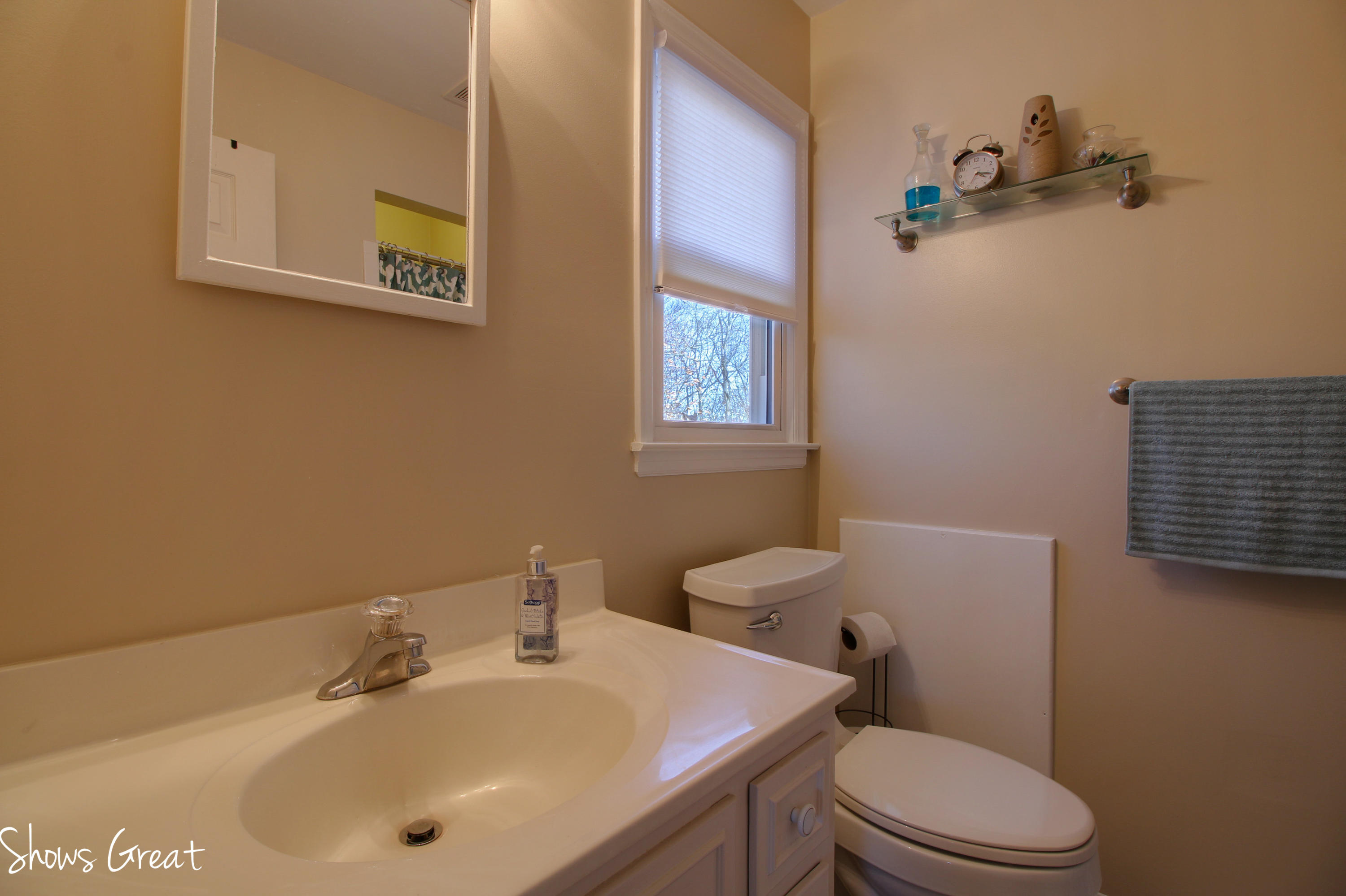 96 Persimmon Court Blue Ridge, VA 24064 - Photo 22 of 28 _MG_7250_1_2