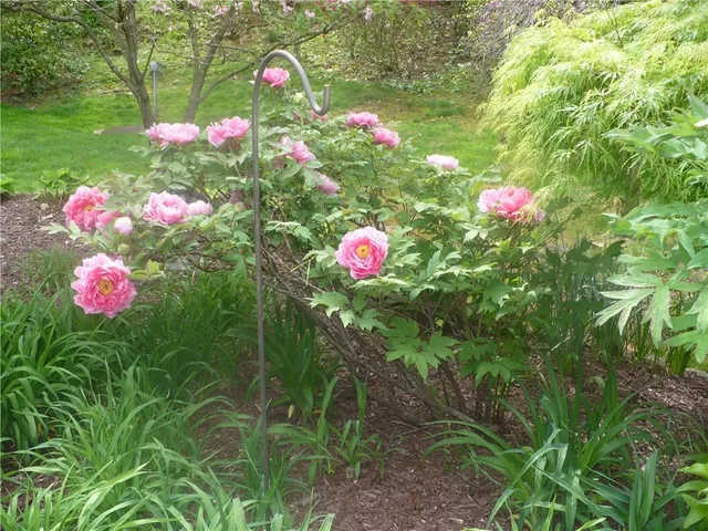 $285,000 | 317 Circle Drive, White Oak, PA 15131