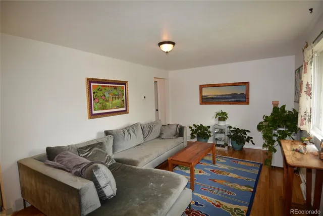 a living room with furniture a couch and a potted plant