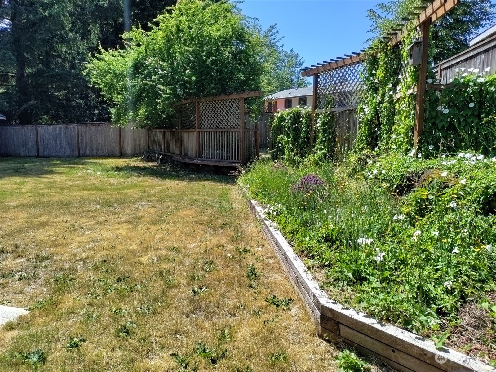 16032 Spanaway Loop Road South Spanaway, WA 98387 - Photo 28 of 28 a view of a backyard with plants