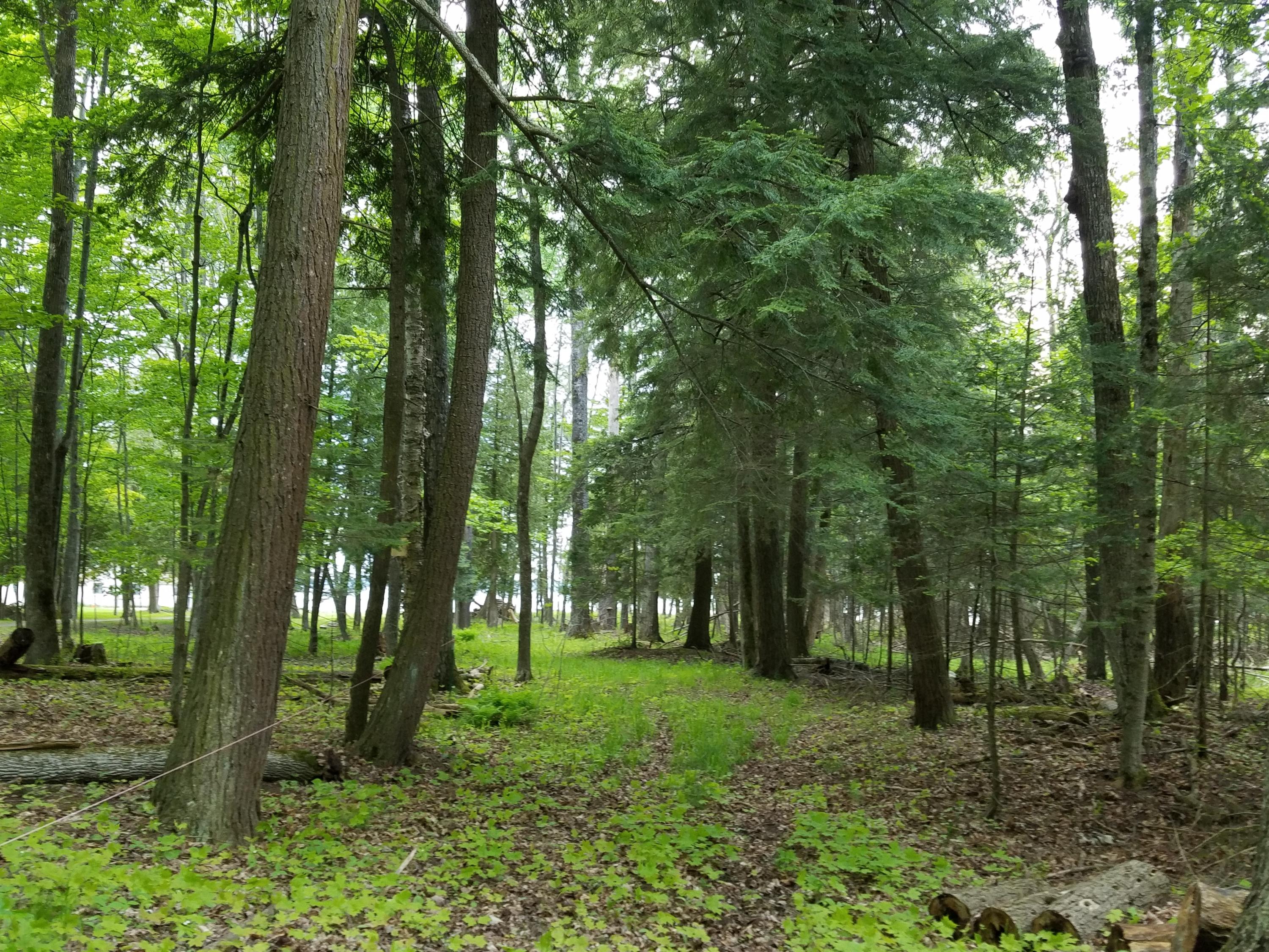Tromble Drive Cheboygan, MI 49721 - Photo 7 of 18 Gallery Image 7