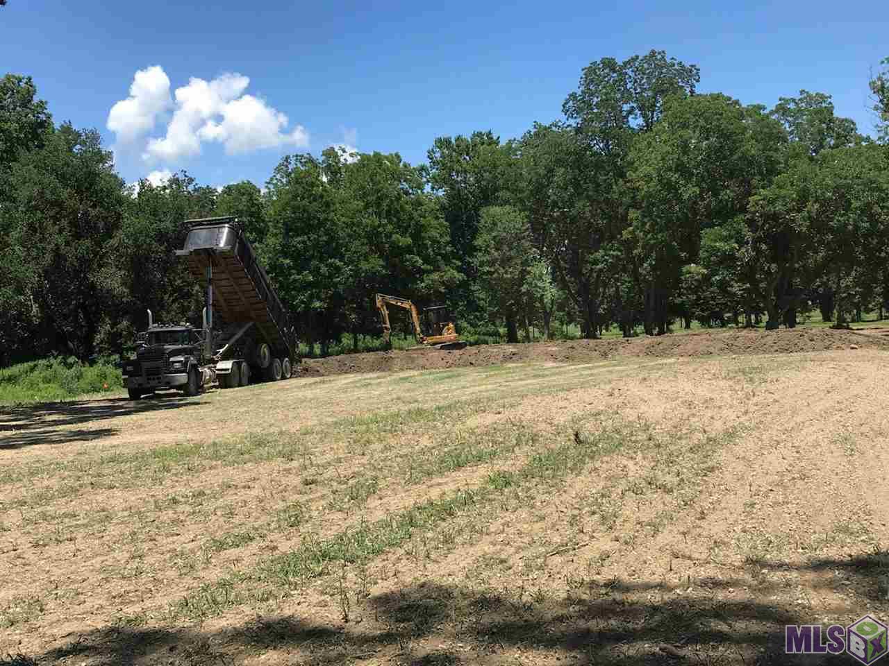 3216 Stanford Levy Road Darrow, LA 70725 - Photo 5 of 6 Gallery Image 5