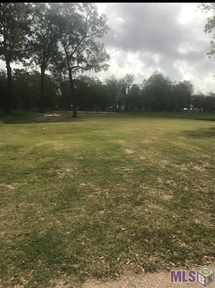 3216 Stanford Levy Road Darrow, LA 70725 - Photo 6 of 6 Gallery Image 6