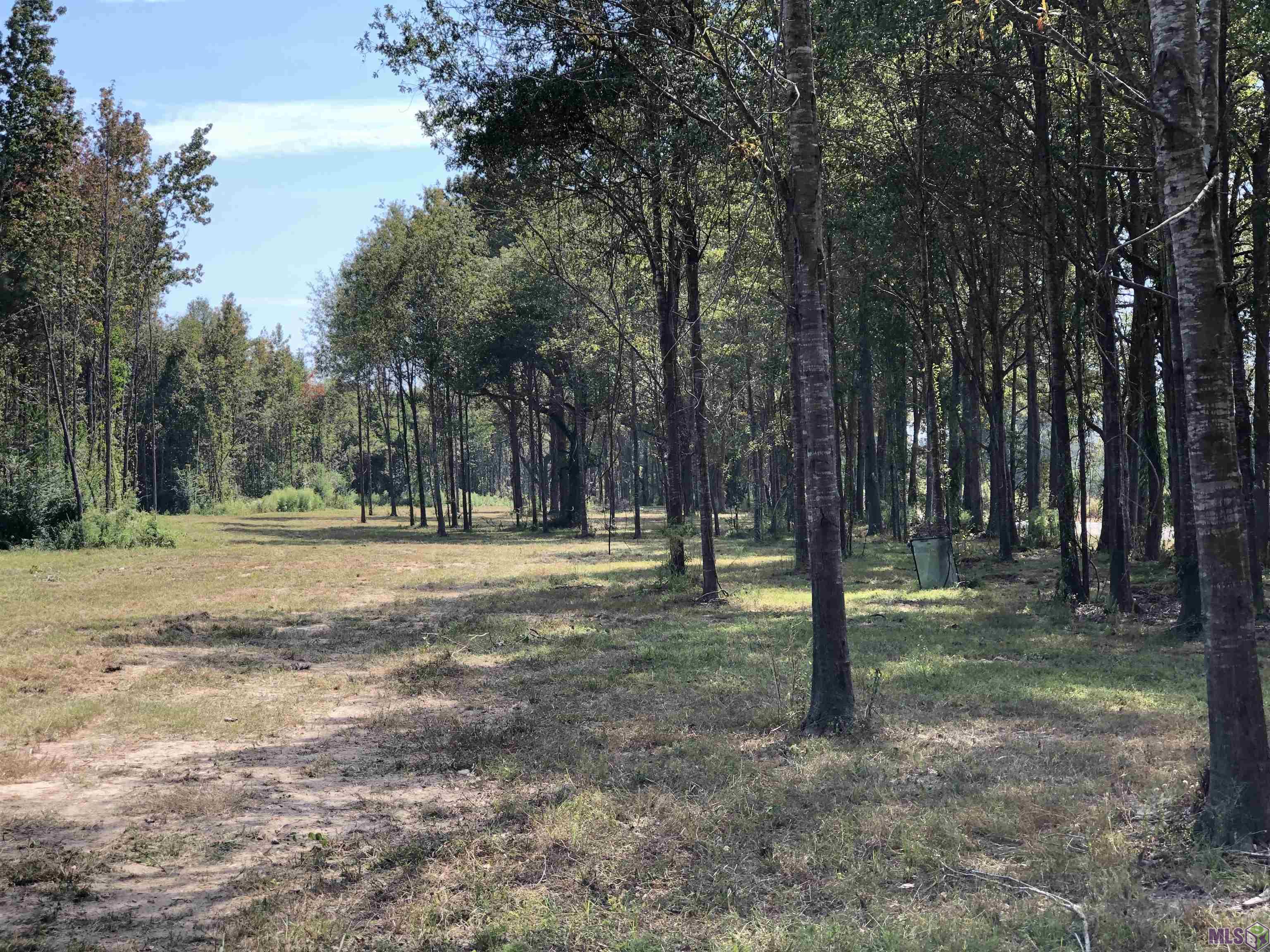 1629 Midway Road Ethel, LA 70730 - Photo 3 of 8