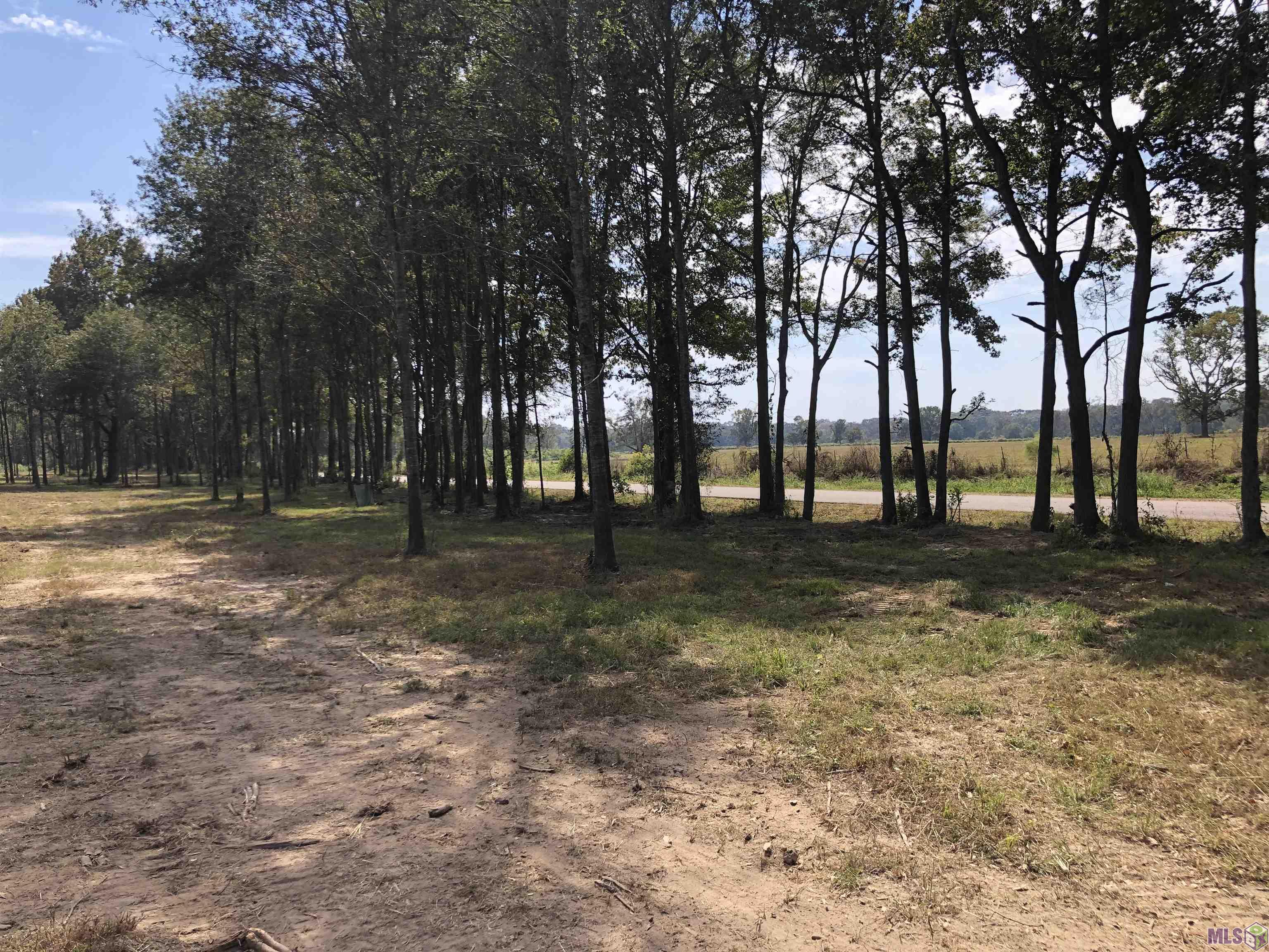 1629 Midway Road Ethel, LA 70730 - Photo 7 of 8