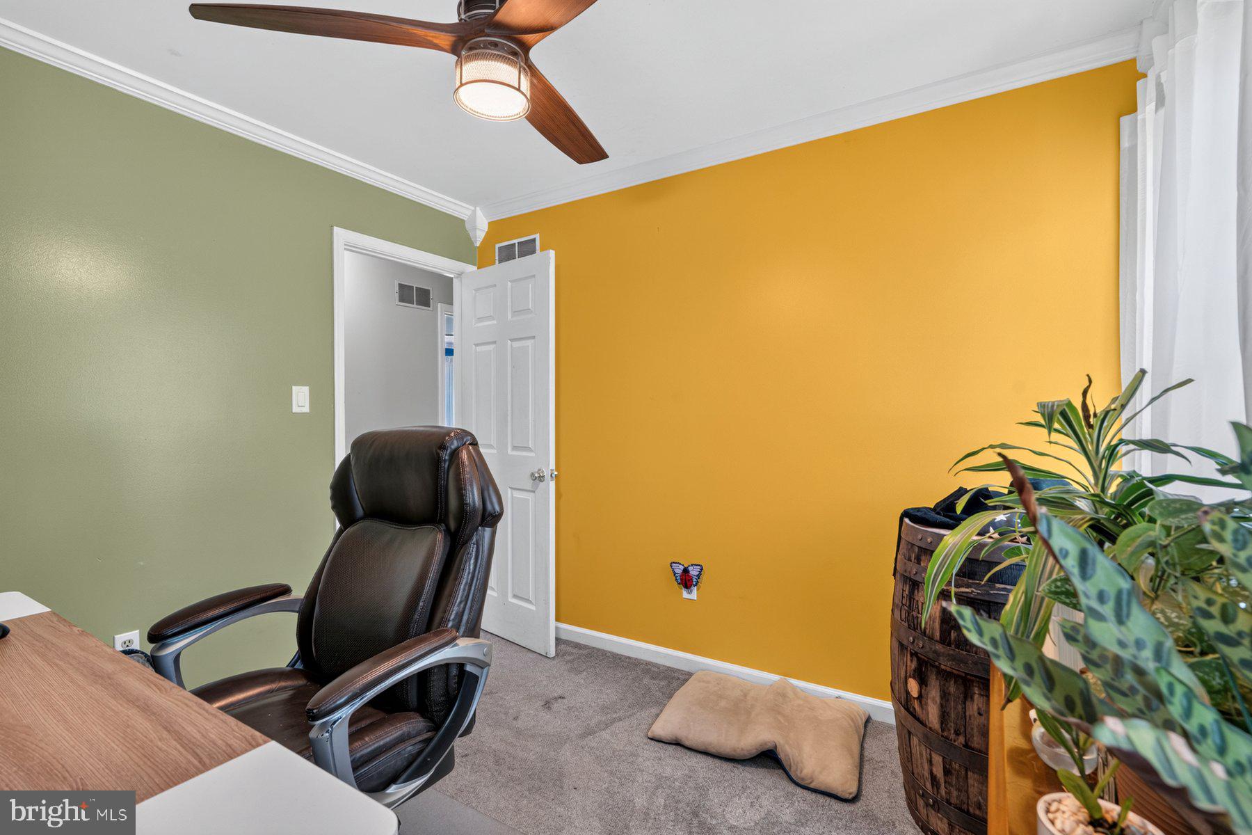 49 Rockland Road Westminster, MD 21158 - Photo 46 of 66 a room with furniture and a potted plant