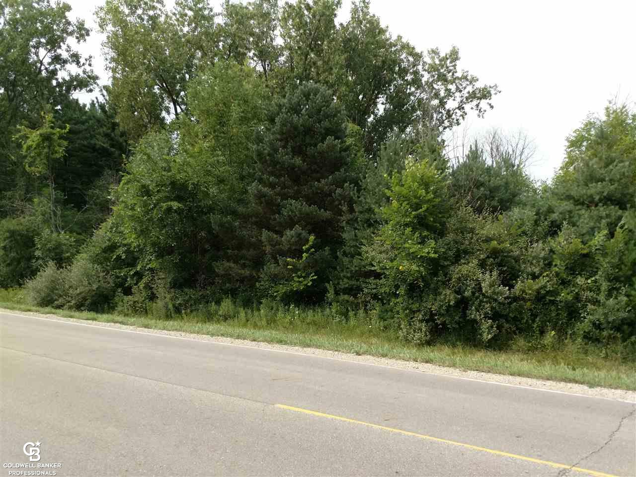 East Galbraith Line Road Melvin, MI 48454 - Photo 3 of 10
