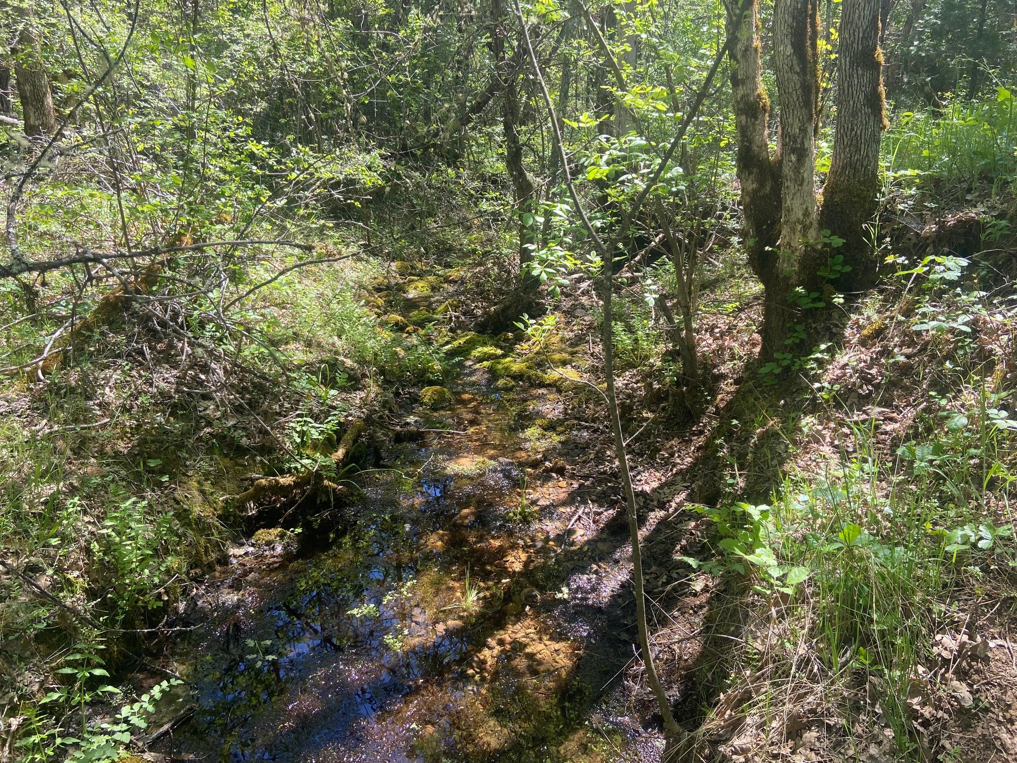 13067 Duggan Road Gold Hill, OR 97525 - Photo 2 of 11 Creek 1