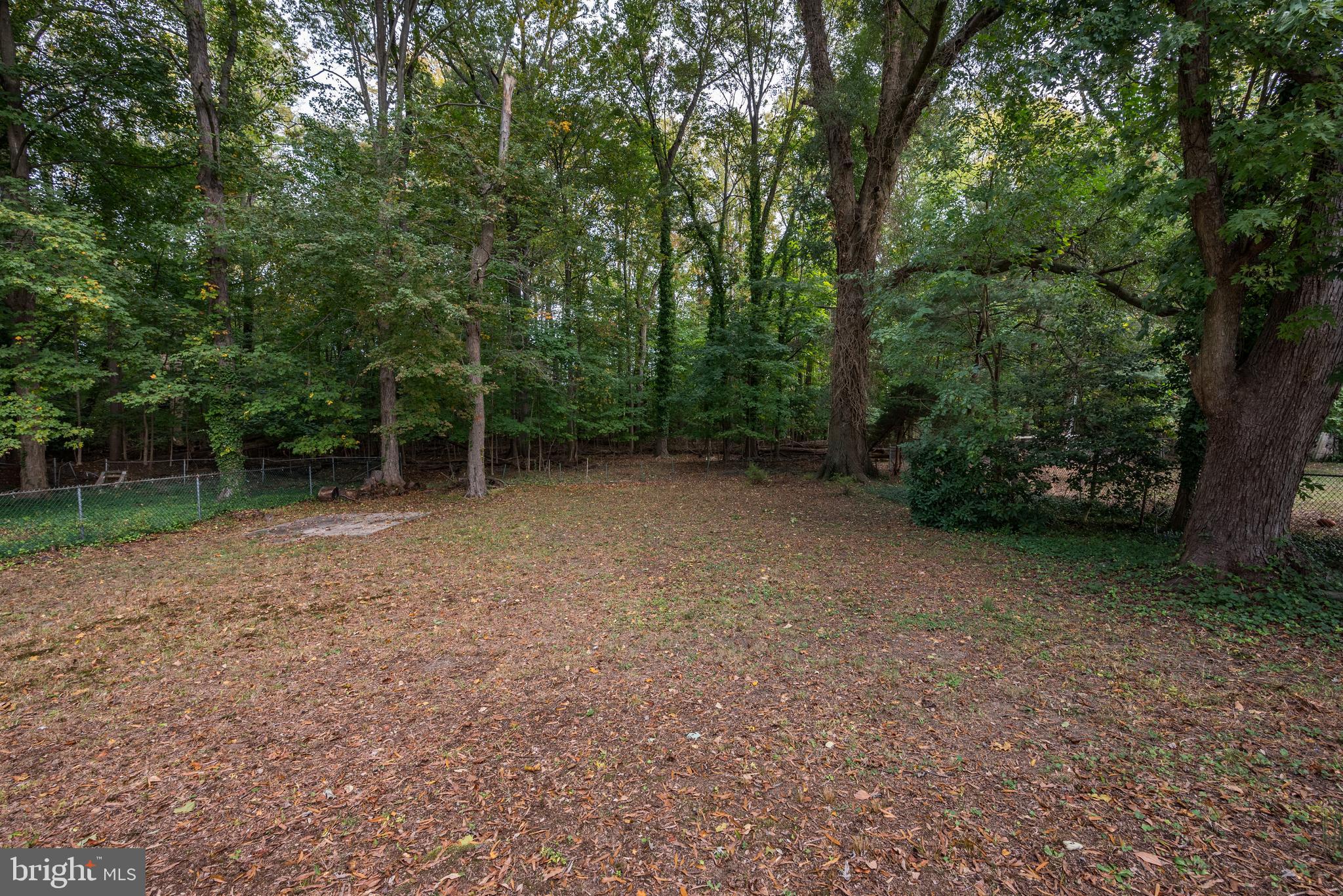 123 Clover Street Mount Holly, NJ 08060 - Photo 33 of 38 Beautiful wooded oasis.